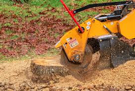 Best Grass Overseeding  in Punxsutawney, PA